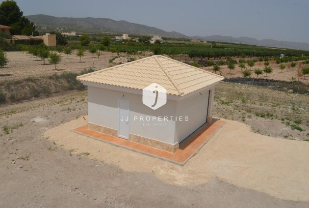 Obra nueva - Villa -
Pinoso - Camino Del Prado