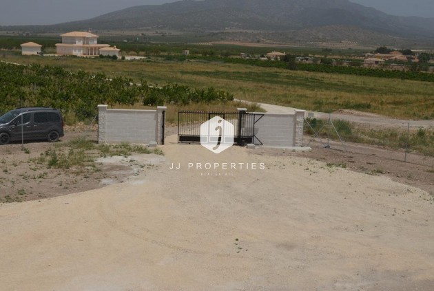 Obra nueva - Villa -
Pinoso - Camino Del Prado