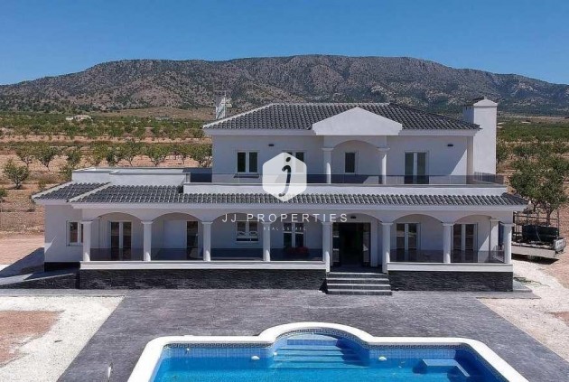 Obra nueva - Villa -
Pinoso - Camino Del Prado