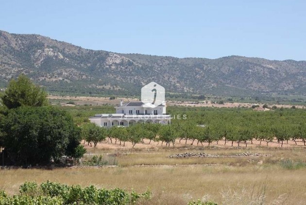Obra nueva - Villa -
Pinoso - Camino Del Prado