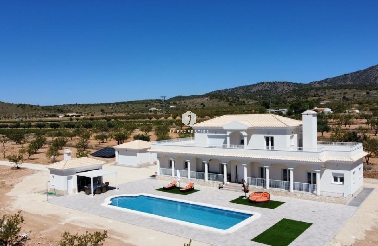 Obra nueva - Villa -
Pinoso - Camino Del Prado