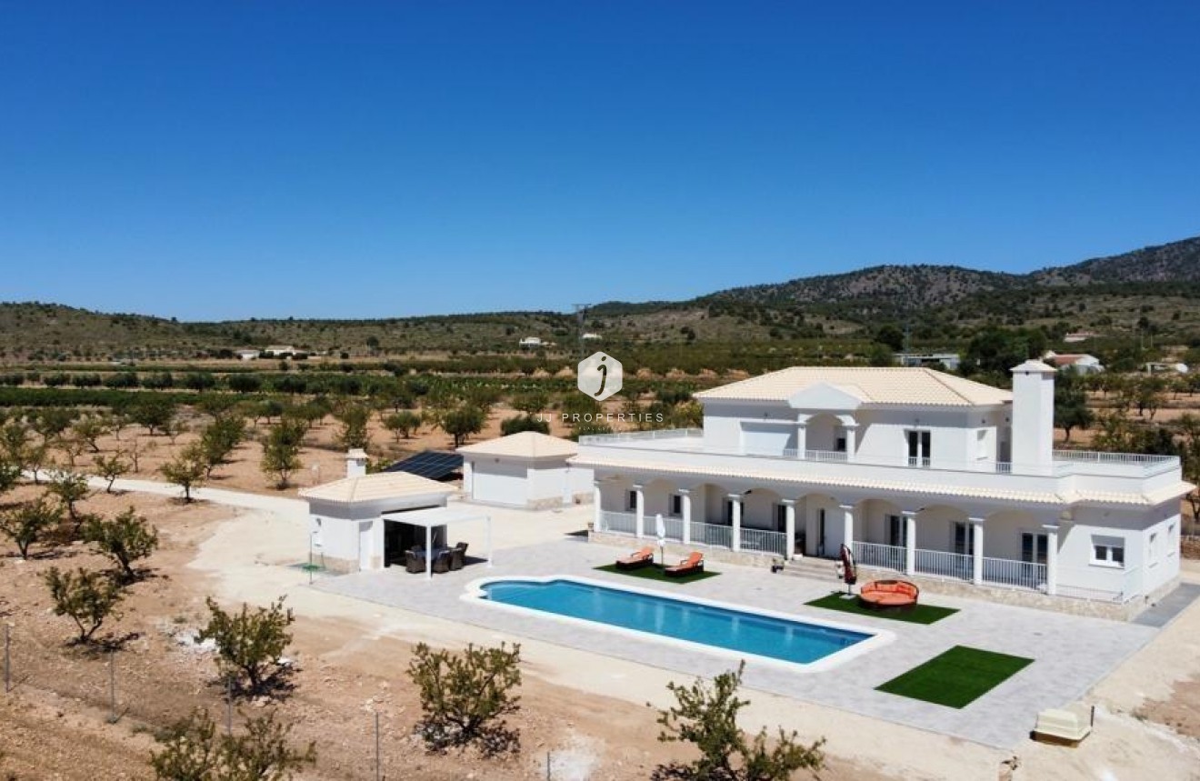 Obra nueva - Villa -
Pinoso - Camino Del Prado