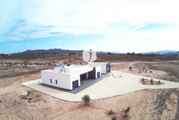 Obra nueva - Villa -
Pinoso - Camino Del Prado