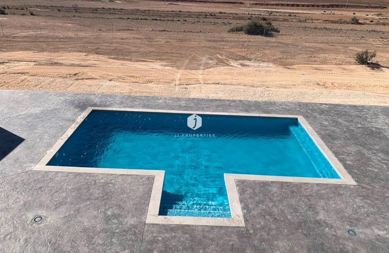 Obra nueva - Villa -
Pinoso - Camino Del Prado