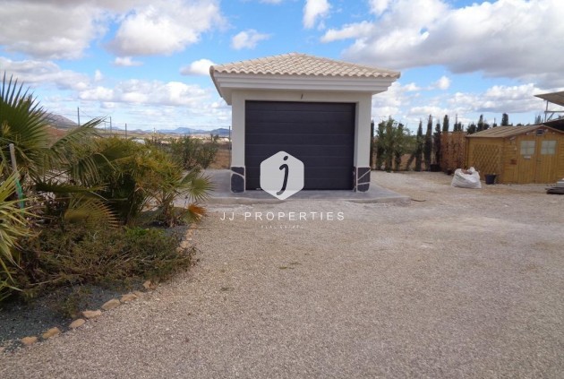 Obra nueva - Villa -
Pinoso - Camino Del Prado