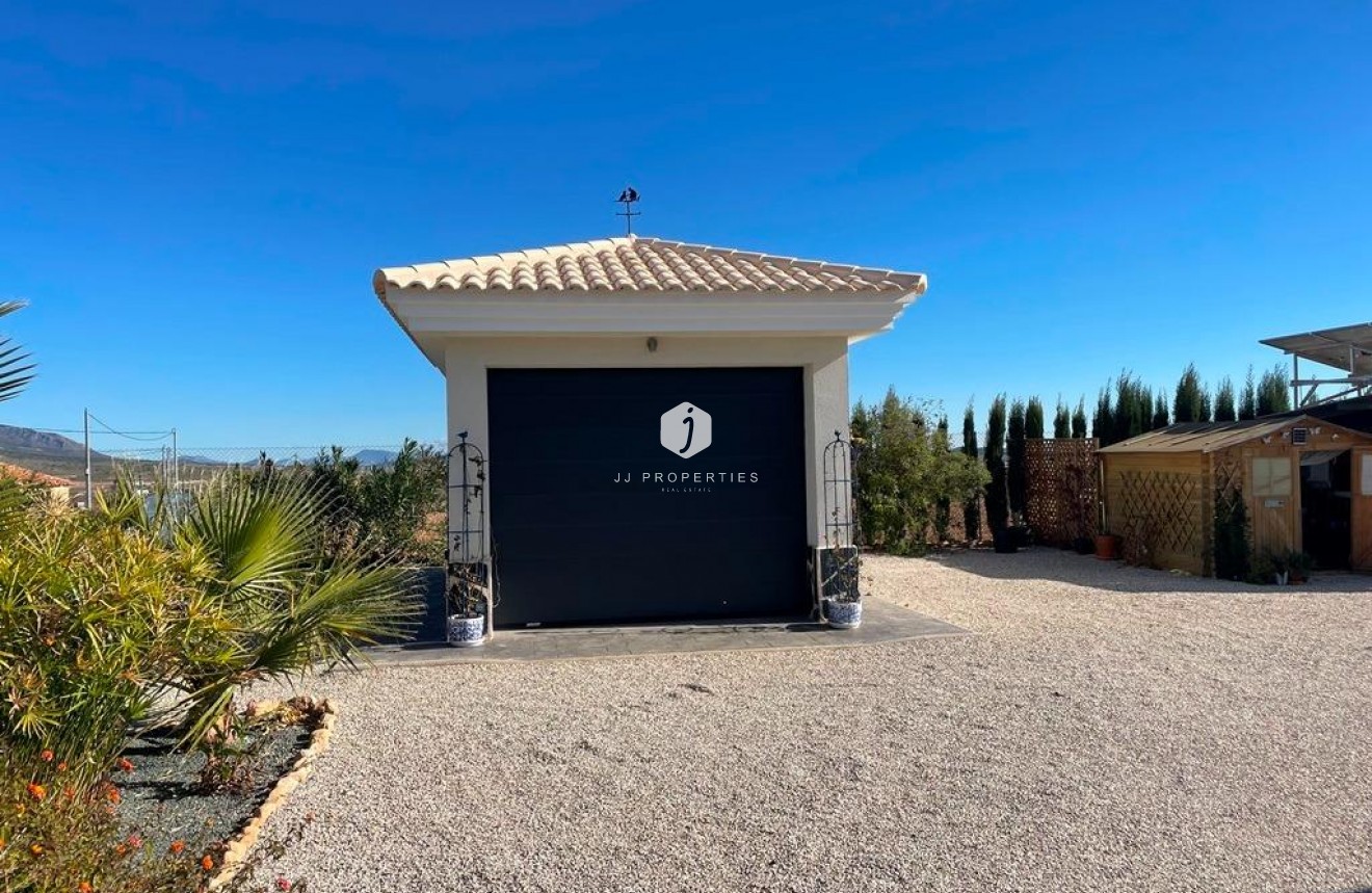 Obra nueva - Villa -
Pinoso - Camino Del Prado