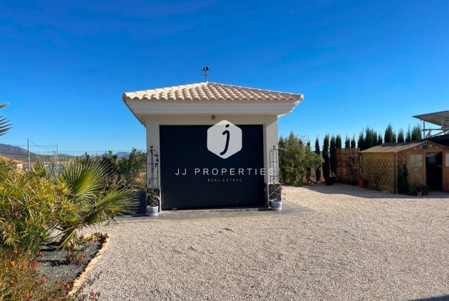 Obra nueva - Villa -
Pinoso - Camino Del Prado