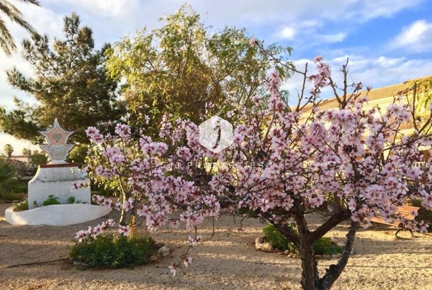 Obra nueva - Villa -
Los Urrutias - Estrella De Mar