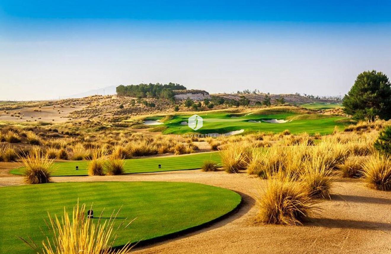 Obra nueva - Villa -
Alhama De Murcia - Condado De Alhama