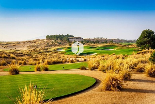 Obra nueva - Villa -
Alhama De Murcia - Condado De Alhama