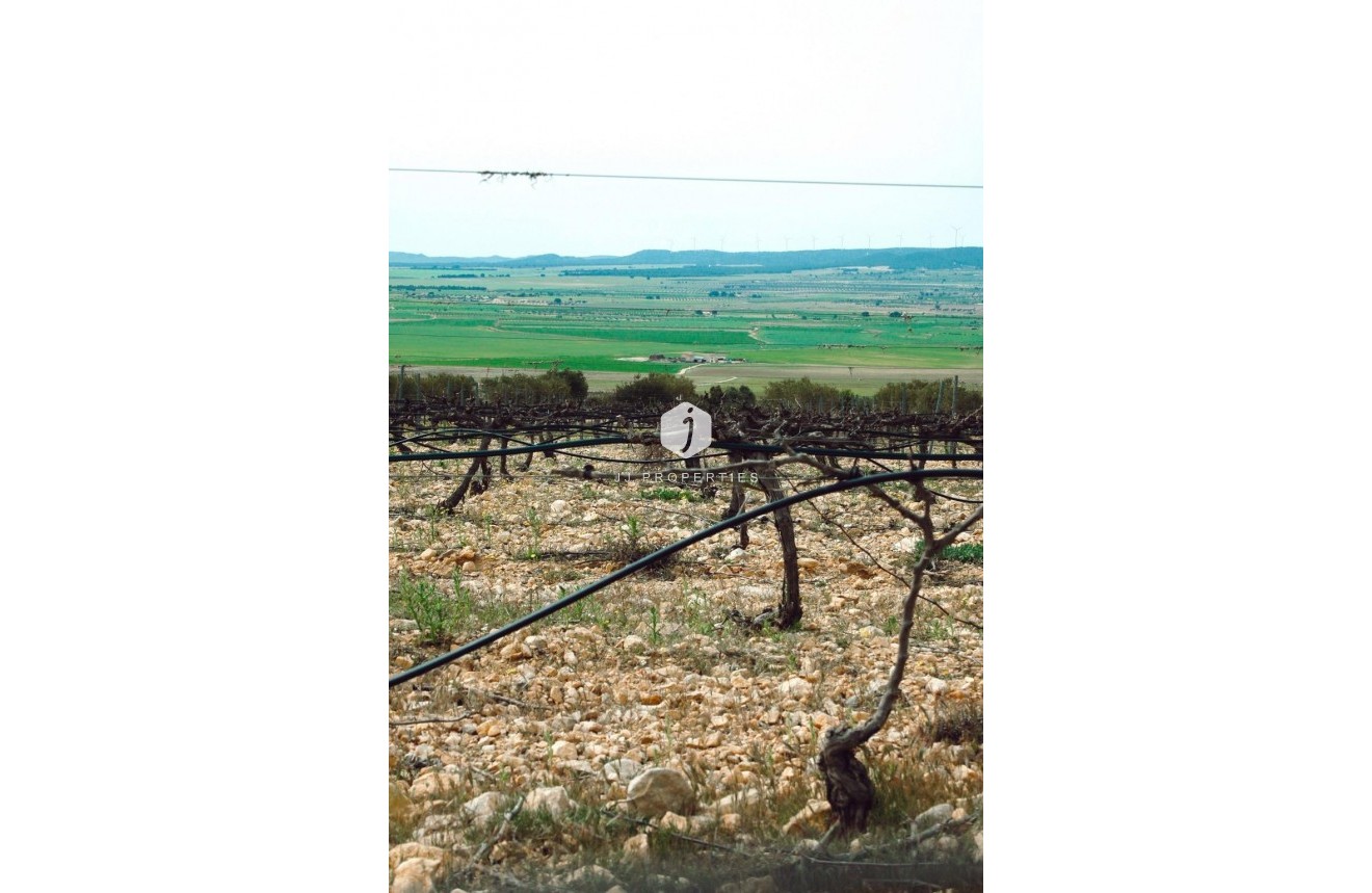 Nouvelle construction - Villa -
Yecla