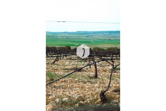 Nouvelle construction - Villa -
Yecla