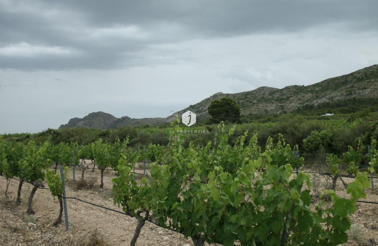 Neue Gebäude - Villa -
Yecla