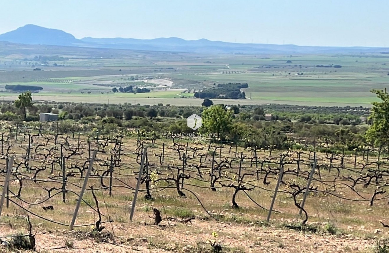 Neue Gebäude - Villa -
Yecla