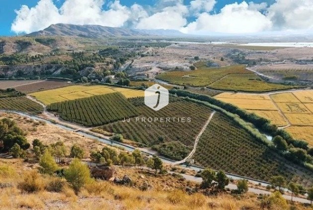 Neue Gebäude - Villa -
Calasparra - Coto Riñales