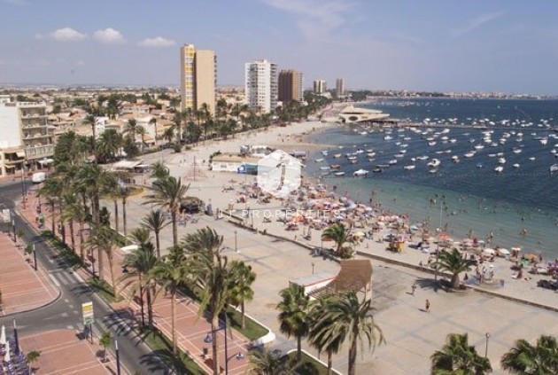 Obra nueva - Chalet -
San Javier - Parque del doce