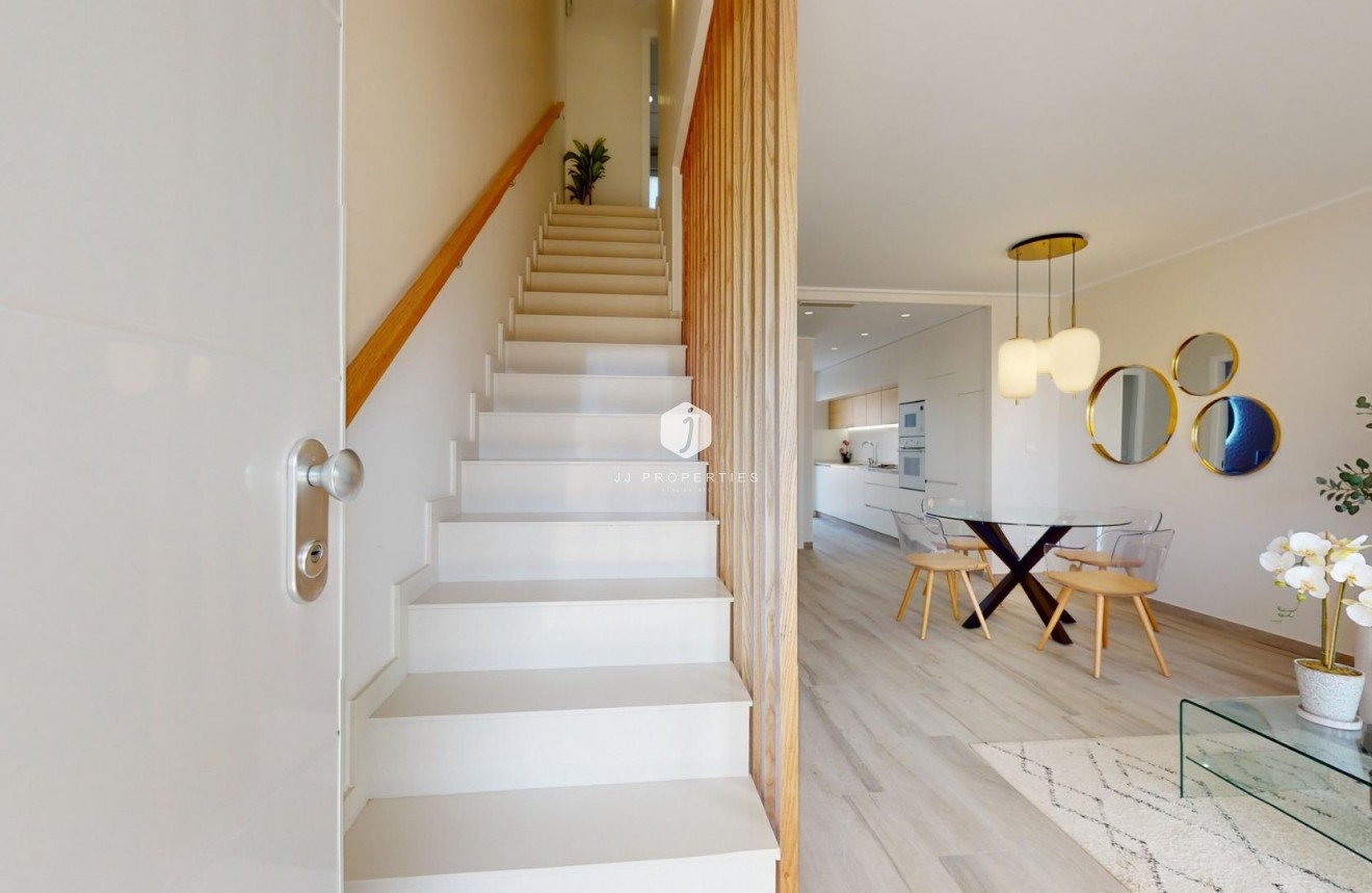 Obra nueva - Chalet -
Pilar de la Horadada - Lo Monte