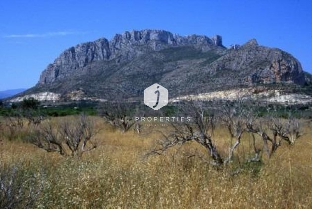 New Build - Apartment / flat -
El Verger