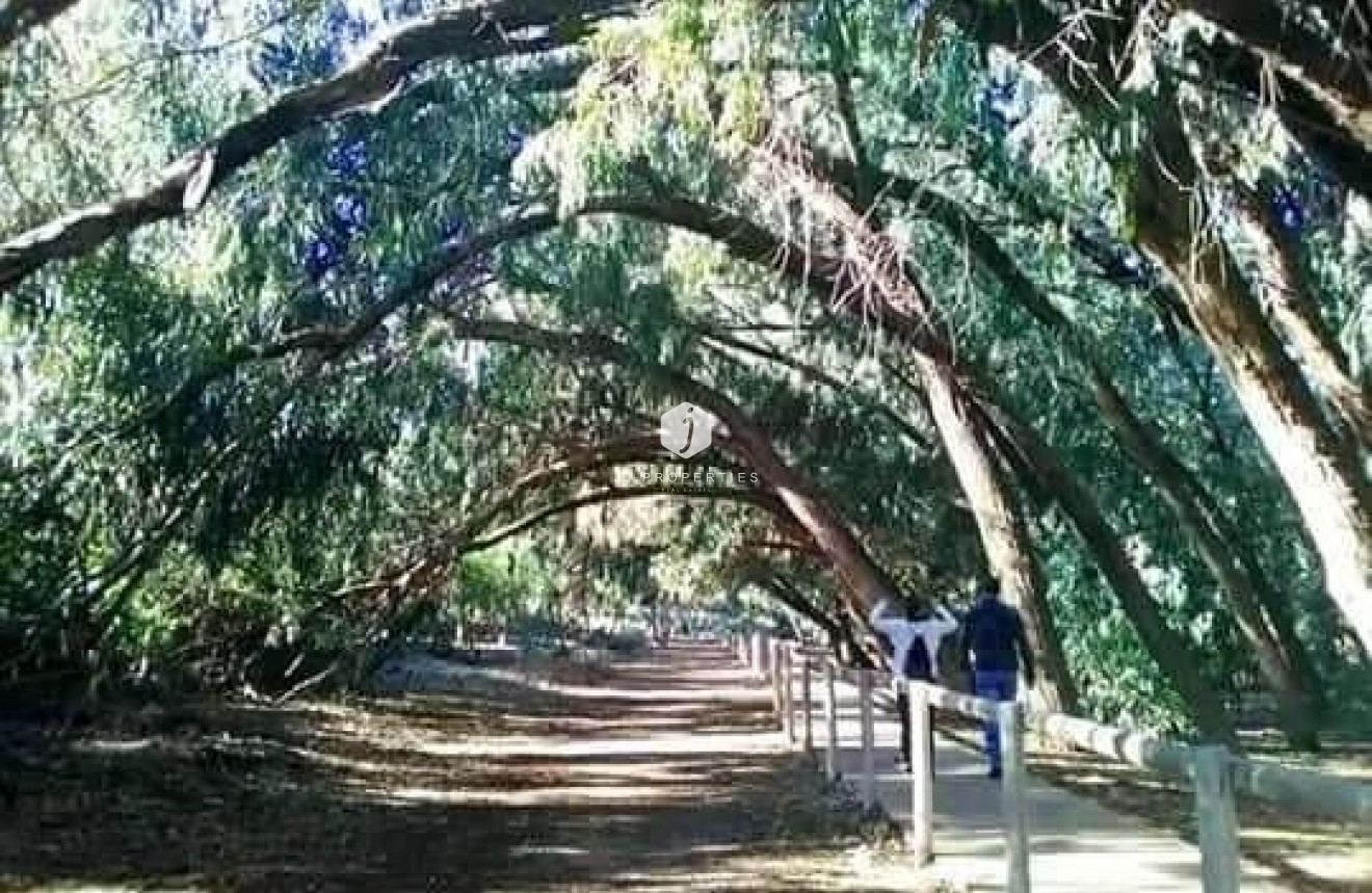 Obra nueva - Bungalow -
Torrevieja - Altos del Sol