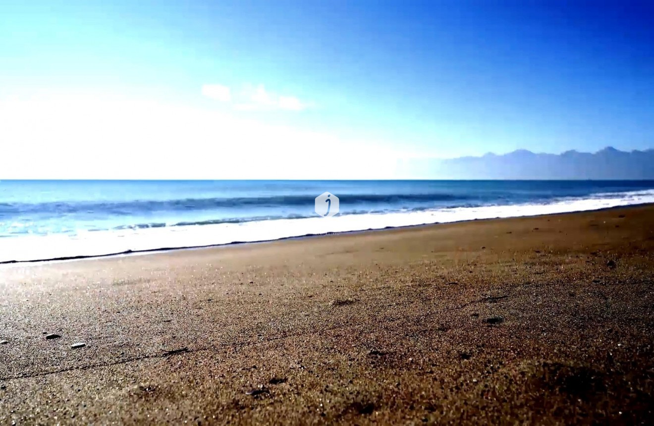 Obra nueva - Apartamento / piso -
Torrevieja - Centro