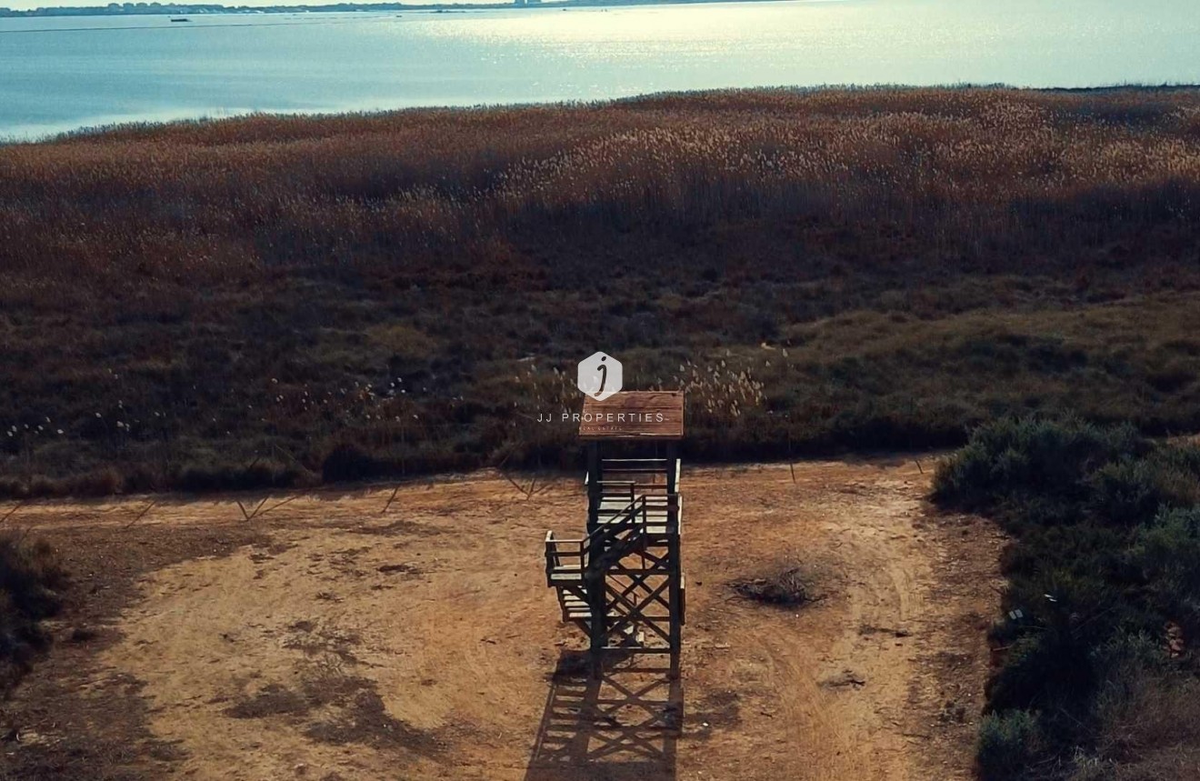 Obra nueva - Villa -
Los Montesinos - La herrada