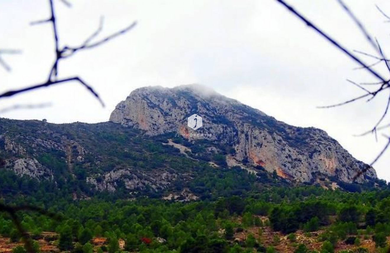 Obra nueva - Villa -
La Romana - Batistes