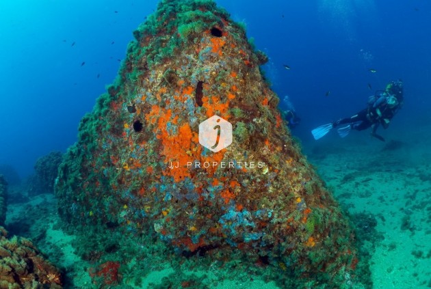 Obra nueva - Apartamento / piso -
Aguilas - Isla Del Fraile