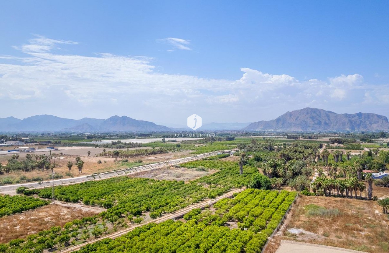 Obra nueva - Apartamento / piso -
Jacarilla - pueblo