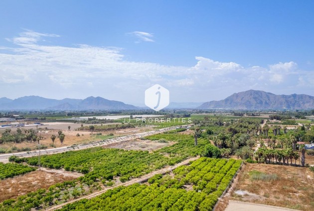 Obra nueva - Apartamento / piso -
Jacarilla - pueblo