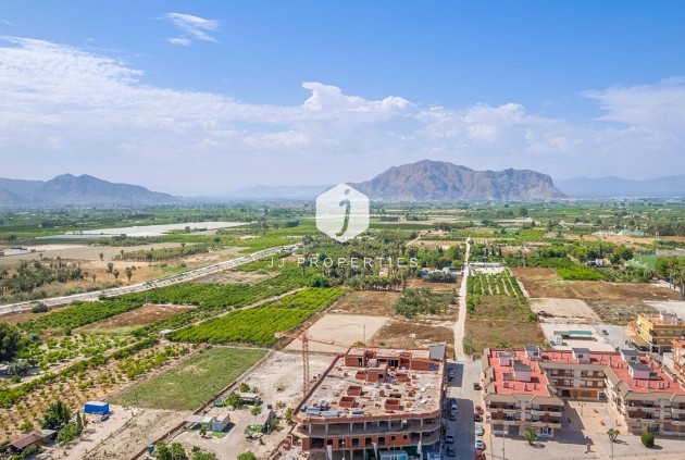 Obra nueva - Apartamento / piso -
Jacarilla - pueblo