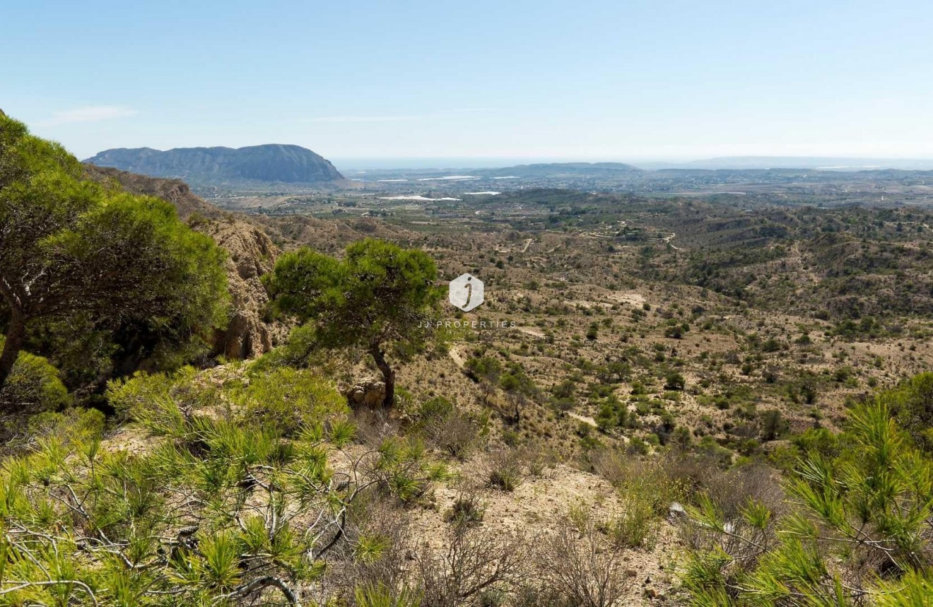 Obra nueva - Villa -
Aspe - Centro