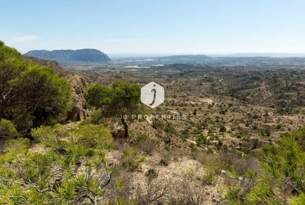 Obra nueva - Villa -
Aspe - Centro