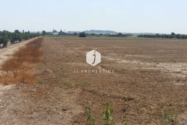 Segunda mano - Casa de campo -
Daya Nueva - Costa Blanca