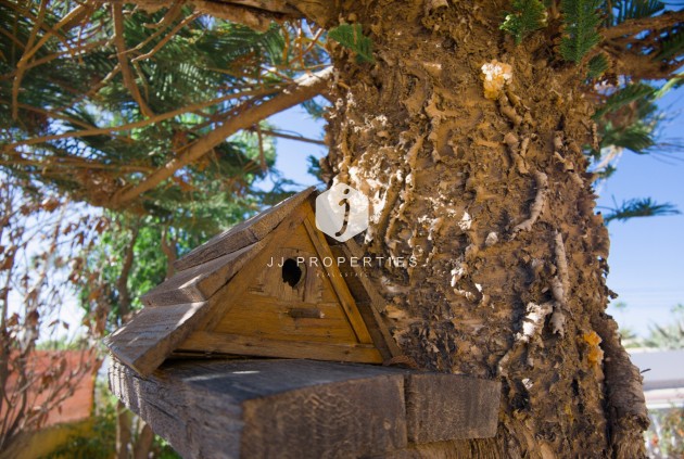 Segunda mano - Villa -
La Siesta - Costa Blanca