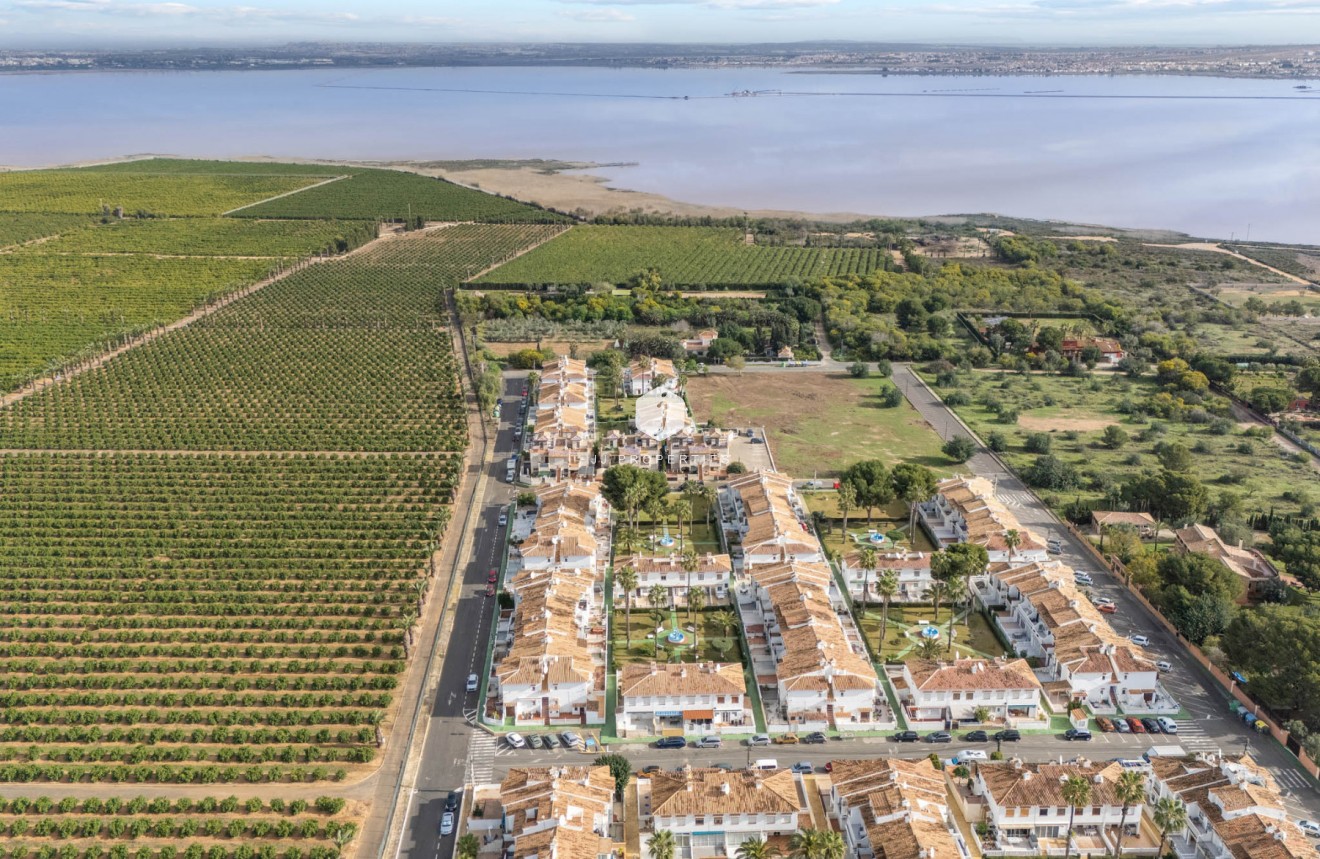 Segunda mano - Duplex -
Torrevieja - Costa Blanca