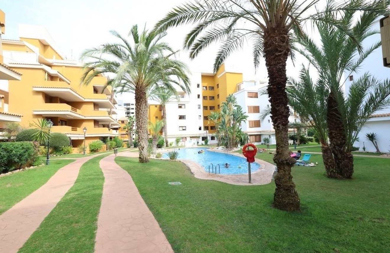 Tweedehands - Penthouse -
Torrevieja - Costa Blanca