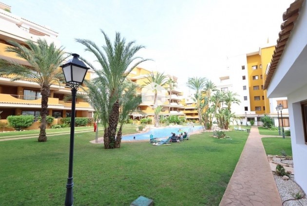 Tweedehands - Penthouse -
Torrevieja - Costa Blanca
