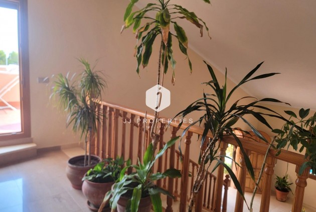 Segunda mano - Villa -
Torrevieja - aguas nuevas