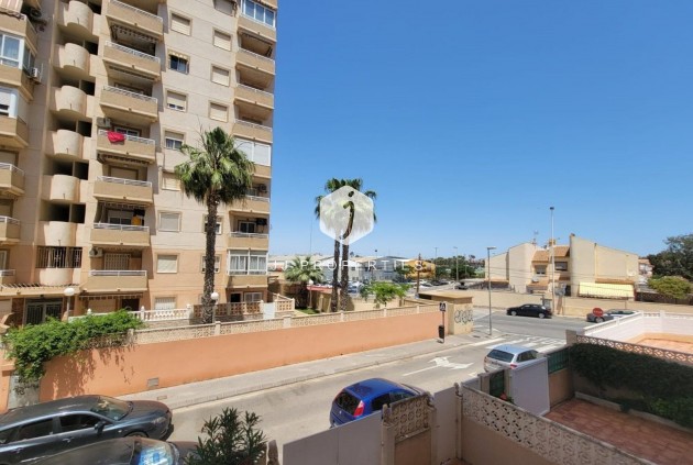Segunda mano - Apartamento / piso -
Torrevieja - Nueva Torrevieja