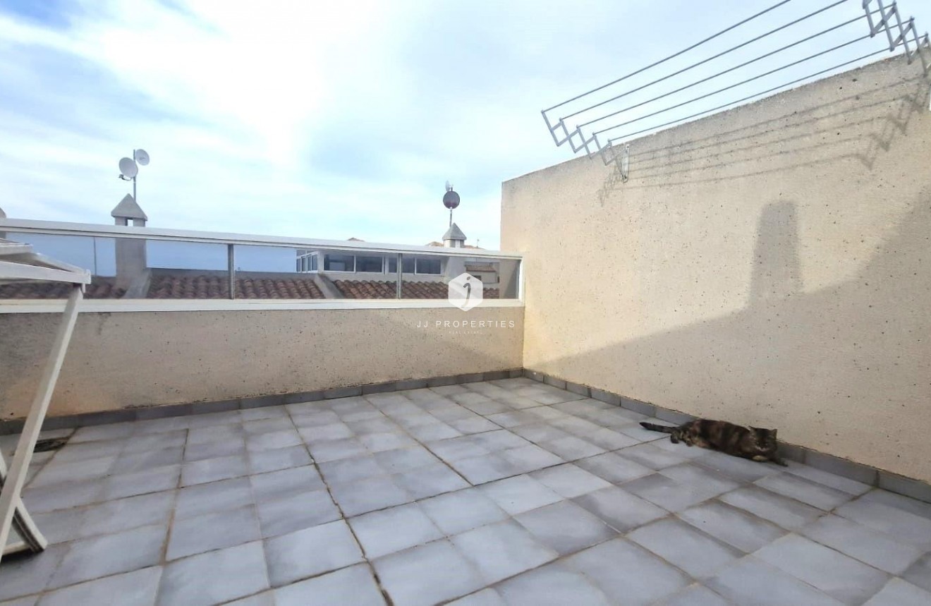 Segunda mano - Chalet -
Torrevieja - Torreblanca