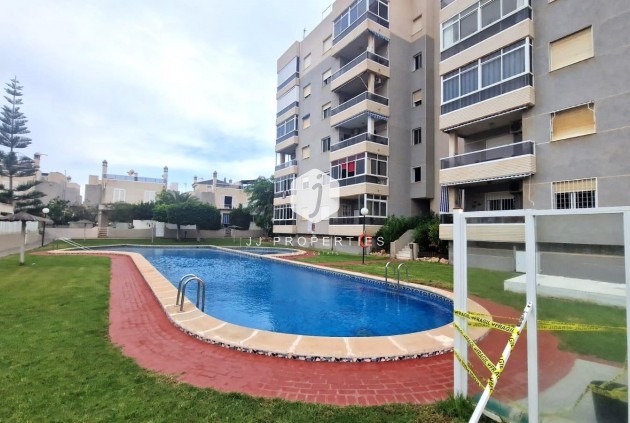 Segunda mano - Chalet -
Torrevieja - Torreblanca