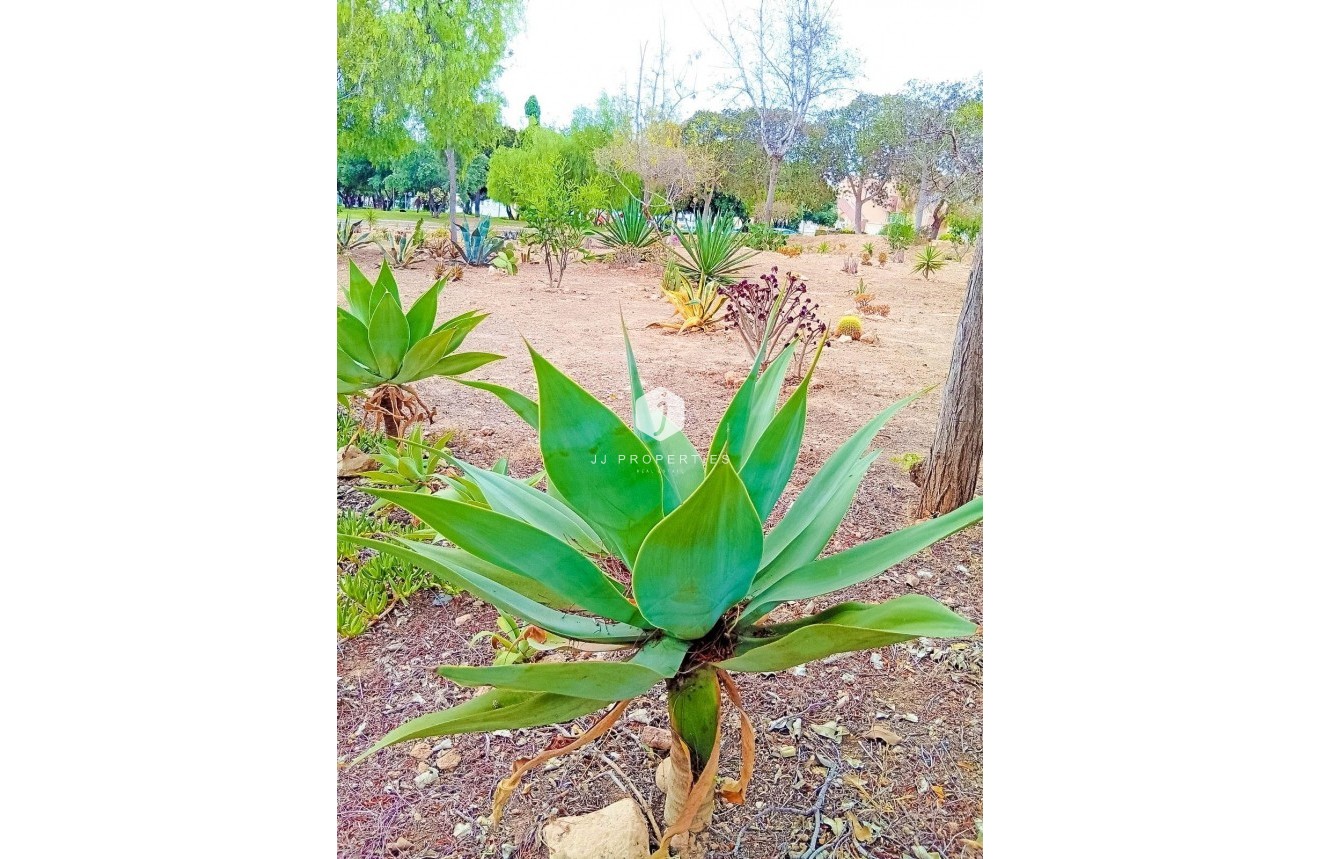 Aus zweiter Hand - Wohnung -
Orihuela Costa - La Florida