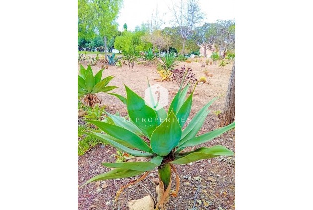 Aus zweiter Hand - Wohnung -
Orihuela Costa - La Florida