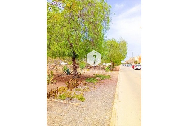 Aus zweiter Hand - Wohnung -
Orihuela Costa - La Florida