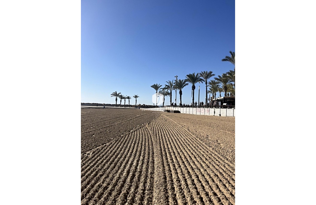 Segunda mano - Apartamento / piso -
Torrevieja - Estacion de autobuses