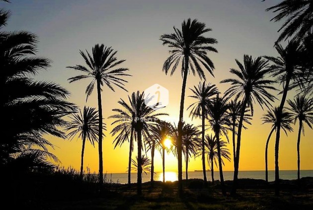 Segunda mano - Apartamento / piso -
Torrevieja - Centro