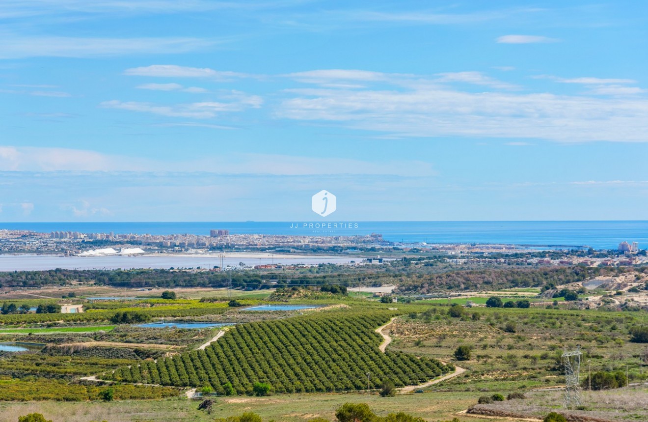 Z drugiej ręki - Daszek -
San Miguel de Salinas - Inland