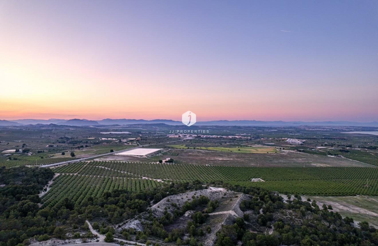 Z drugiej ręki - Daszek -
San Miguel de Salinas - Inland