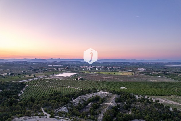 Z drugiej ręki - Daszek -
San Miguel de Salinas - Inland