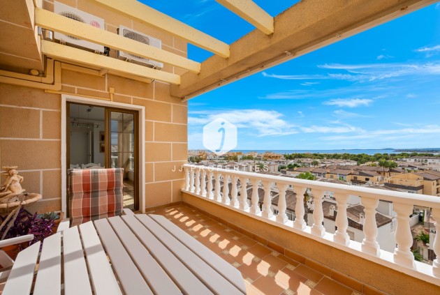 D'occasion - Appartement -
Punta Prima - Costa Blanca